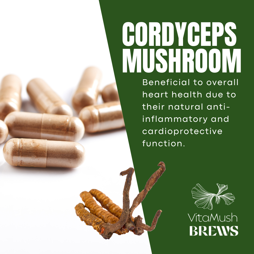 Cordyceps Mushroom