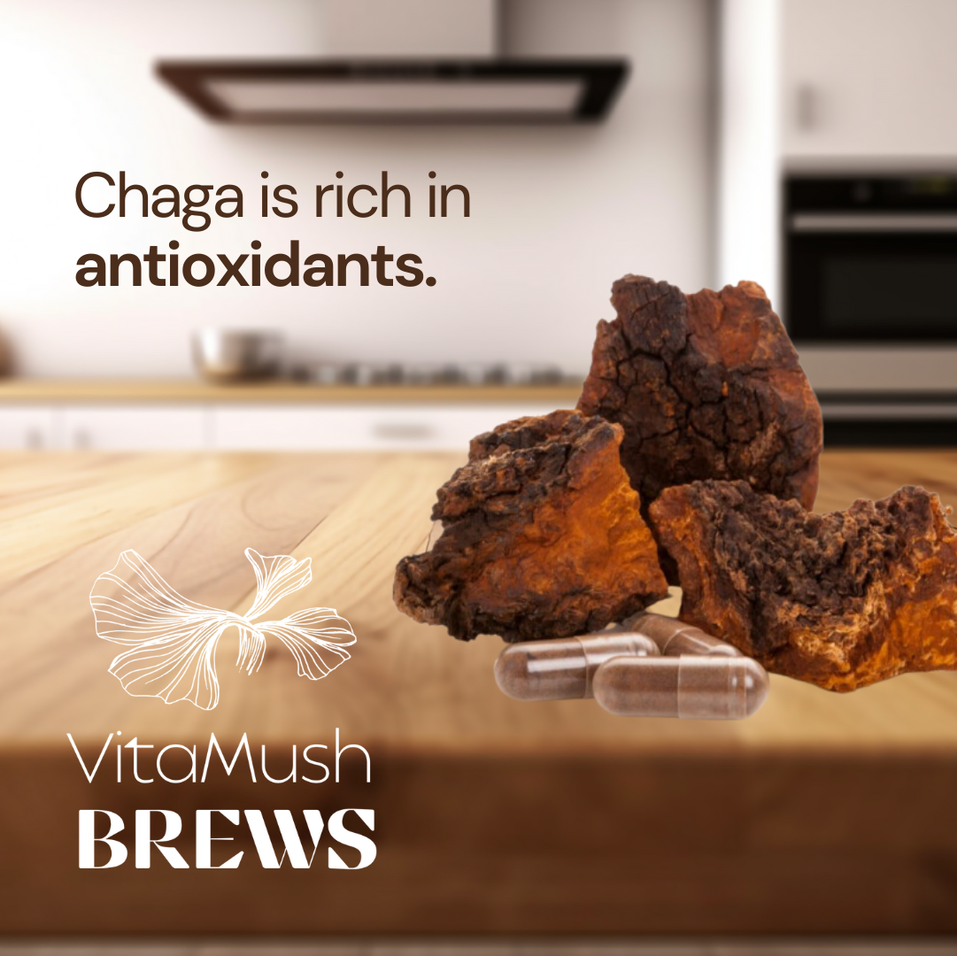 Chaga Mushroom