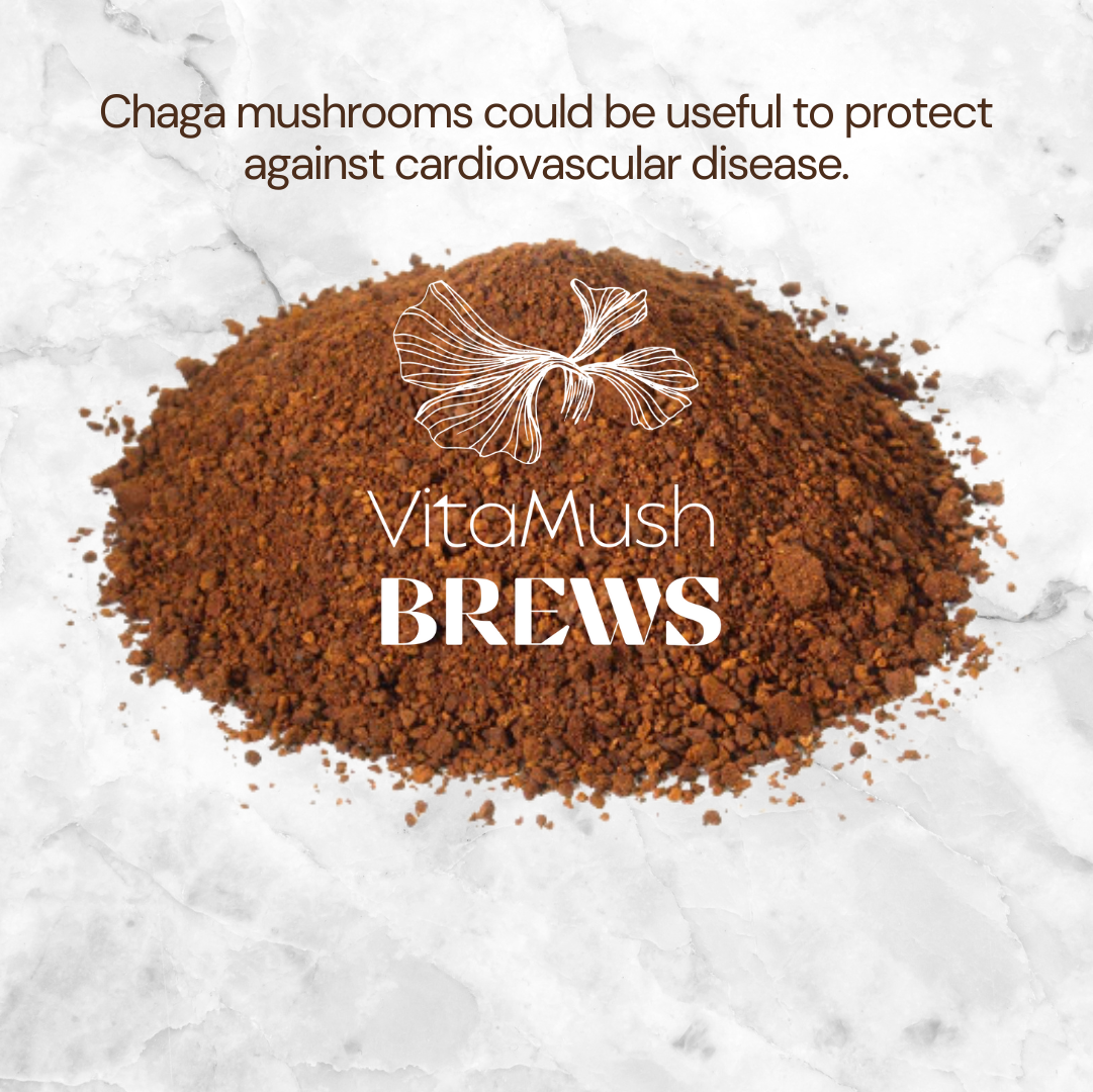 Chaga Mushroom