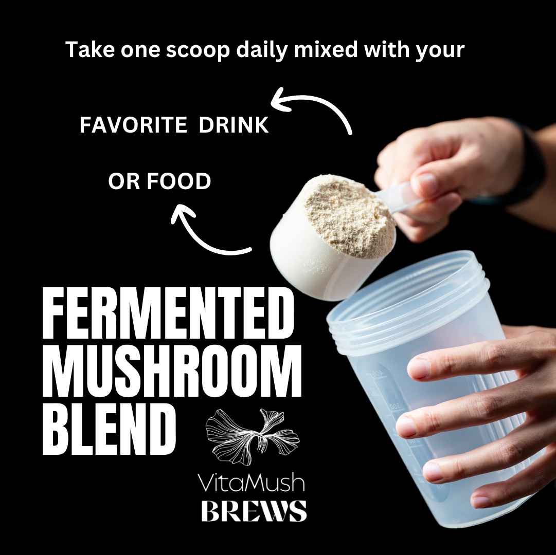 Fermented Mushroom Blend