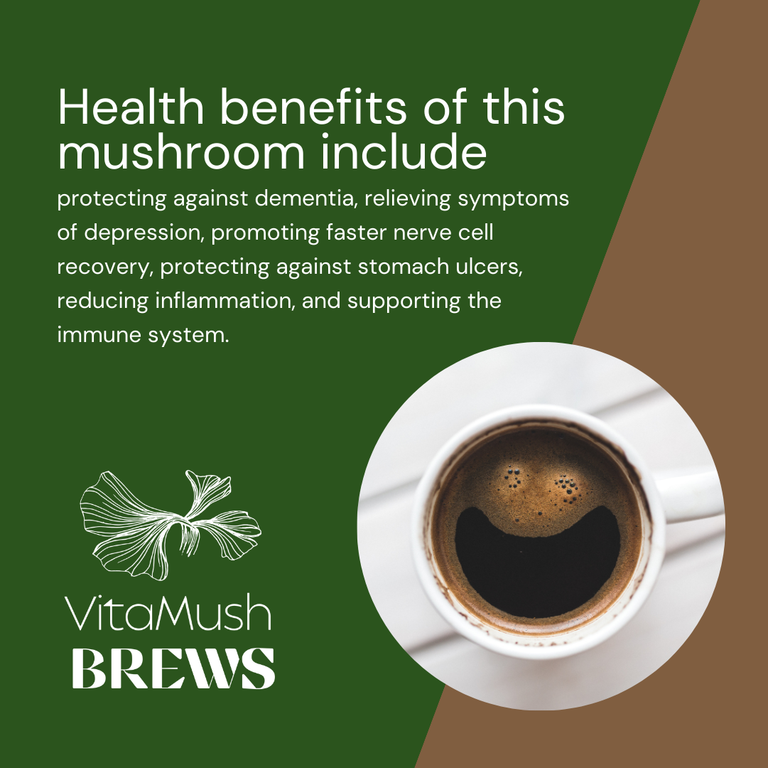 Mushroom Coffee Fusion - Lion’s Mane & Chaga 4oz