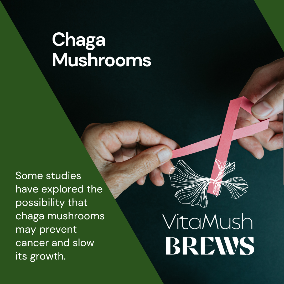 Chaga Mushroom